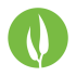 Eucalypt Media